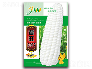 ����2017-�rʳ���׷N��-�I�ھ���