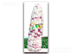 ��Ŵ2000-�rʳ���׷N��-�I�ھ���