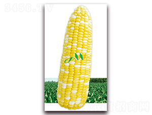 ������450��-�rʳ���׷N��-�I�ھ���