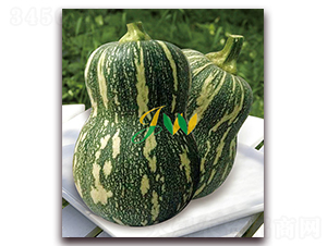 ����-�ϹϷN��-�I�ھ���