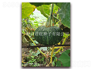 ����-�ϹϷN��-�I�ھ���