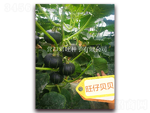 ����ؐؐ-�ϹϷN��-�I(y��ng)�ھ���