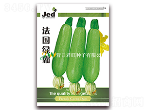法國綠霸-西葫蘆種子-營口君旺
