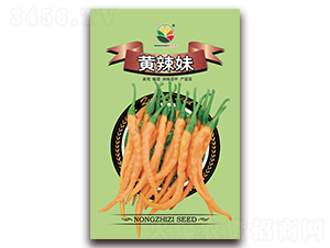 �S����-�����N��-�r֮��