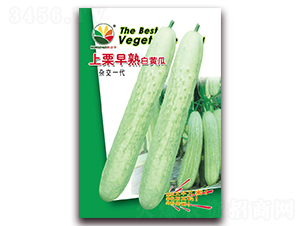 ����������S��-�S�ϷN��-�r(n��ng)֮��