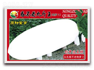 �����ϾŽ���-�}���N��-�r֮��