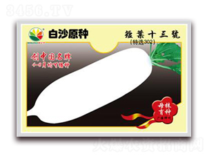 ���~ʮ��̖-�}���N��-�r֮��