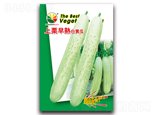 ����������S��-���S�ϷN��-�r(n��ng)֮��