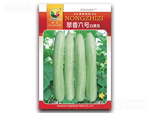 ������̖-���S�ϷN��-�r(n��ng)֮��