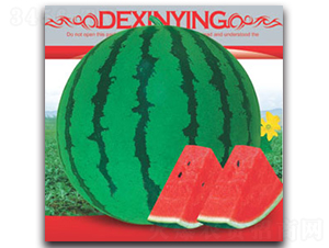 ��������-���ϷN��-����ӯ�r(n��ng)�I(y��)