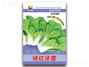 ������ѩ-���_�׷N��-�r(n��ng)֮��