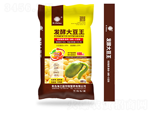 發(fā)酵大豆王-海之藍