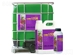 ������֬12Ԫ��-��Ԫ�ǌ��I(y��)