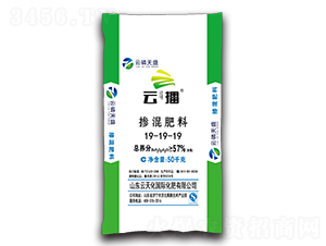 ��ጓ������19-19-19-�Ʋ�-������