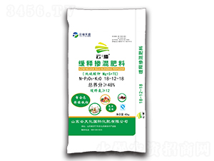 ��ጓ������18-12-18-�Ʋ�-������