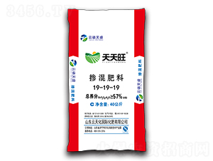 ��ጓ������19-19-19-������-������