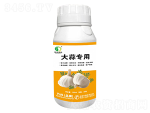 大蒜專用-巧邦農(nóng)業(yè)