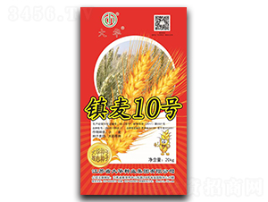 �(zh��n)��10̖(h��o)-С���N��-���A�N�I(y��)