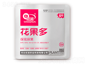 �����ࣨ����������-����(r��n)