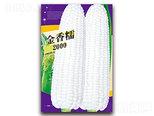 ����Ŵ2000-Ŵ���׷N��-���ǷN�I(y��)