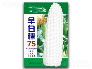 ���Ŵ75-Ŵ���׷N��-���ǷN�I(y��)