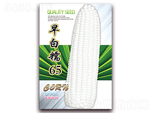 ���Ŵ65-Ŵ���׷N��-���ǷN�I(y��)