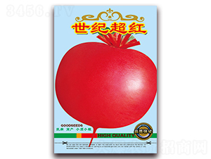 ���o���t-�}���N��-���ǷN�I(y��)