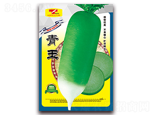 ����-�}���N��-���ǷN�I(y��)