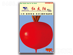 �t̫�-�}���N��-���ǷN�I(y��)