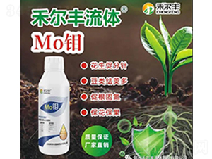 ���w�f-�̠��S