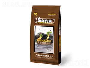 �˅��ЙC(j��)��-������s-��s�ʘI(y��)