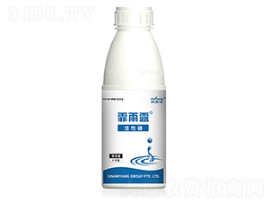 ������-����¶-������