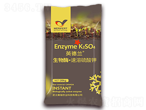 ����ø�����������-Ӣ���m-��h����