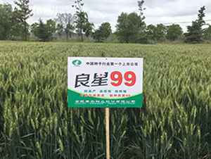 ����99-С���N��-�S��(l��)�N�I(y��)