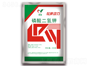 ��������-��������-��h����