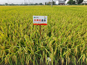 �L�Ƀ�(y��u)���-ˮ���N��-�S���N�I(y��)