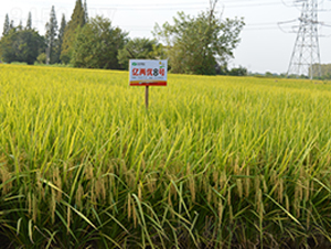 �|�Ƀ�(y��u)8̖(h��o)-ˮ���N��-�S��(l��)�N�I(y��)