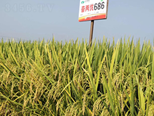 �^�Ƀ�(y��u)686-ˮ���N��-�S��(l��)�N�I(y��)