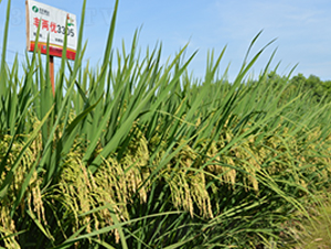 �S�Ƀ�(y��u)3305-ˮ���N��-�S��(l��)�N�I(y��)