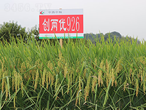 ��(chu��ng)�Ƀ�(y��u)926-ˮ���N��-�S��(l��)�N�I(y��)