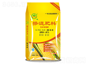 ���׌��Ó������26-6-8-����