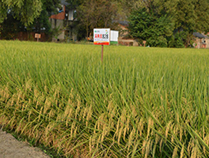 ��Ƀ�(y��u)828-ˮ���N��-�S��(l��)�N�I(y��)