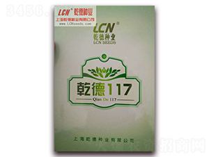 Ǭ��117-�S�ϷN��-Ǭ�·N�I(y��)