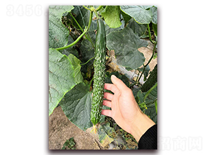 Ǭ��15-�S�ϷN��-Ǭ�·N�I(y��)