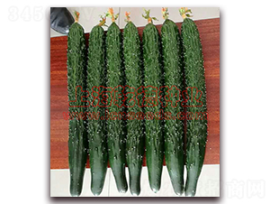 Ǭ��777-�S�ϷN��-Ǭ�·N�I(y��)