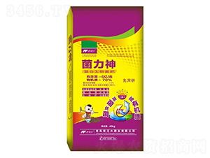 ��(f��)���������-������-������ʘI(y��)