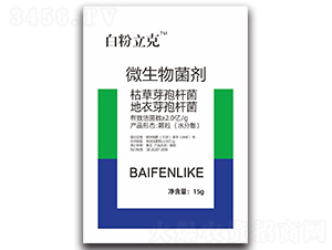 ΢�������-�׷�����-ϲ��Դ