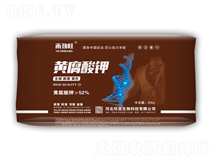 �S�����-�̄���-�h(hu��n)������