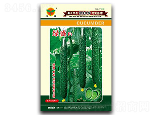 �GʢF1-�S�ϷN��-�A��N�I(y��)