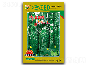 ��Ƥ���������-�S�ϷN��-�A��N�I(y��)